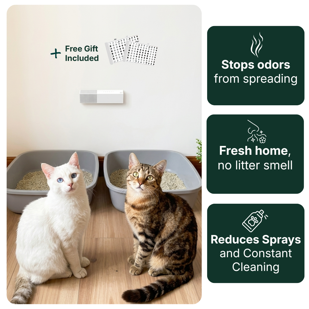 CleanCat™ Odor Control