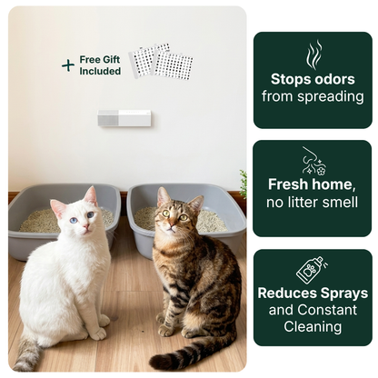 CleanCat™ Odor Control