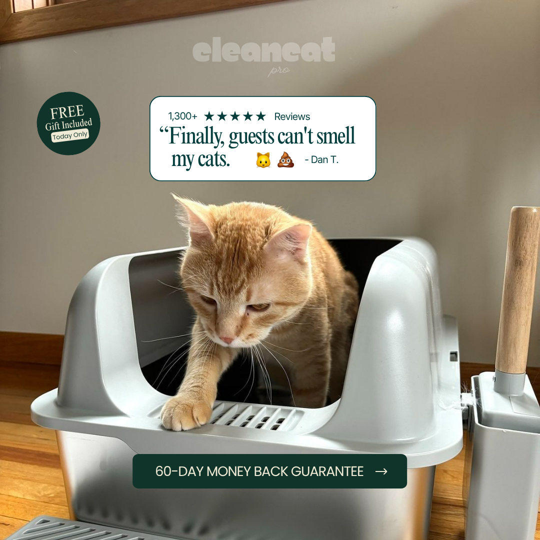 CleanCat™ Odor Control